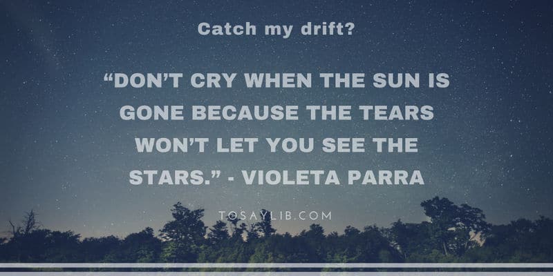 breakup quote violeta parra