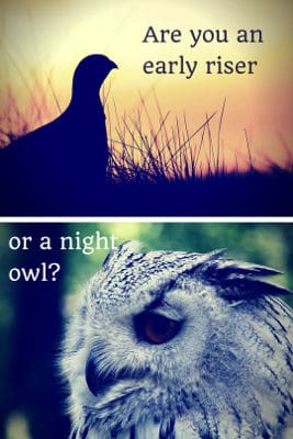 early bird night owl