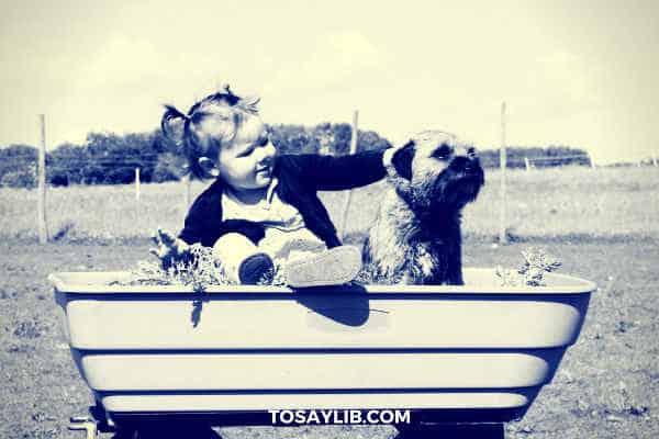 girl playing with a dog outdoor garden tray