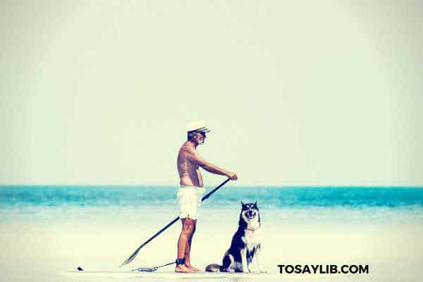 man in captain cap sailing with a dog