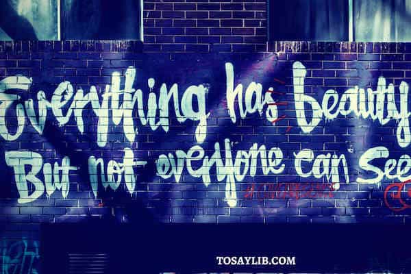 everything has beauty but not everyone can see it