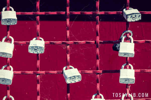 padlocks on metal fence