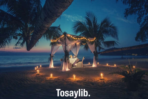 white canopy tent with candles around it near coastline coconut trees