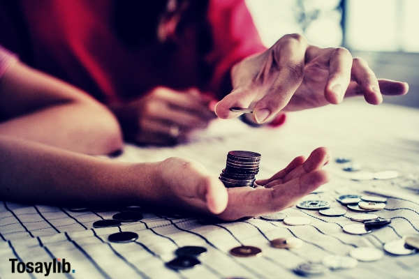 person holding coins counting money