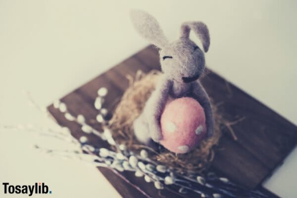 close up photo of bunny plush toy