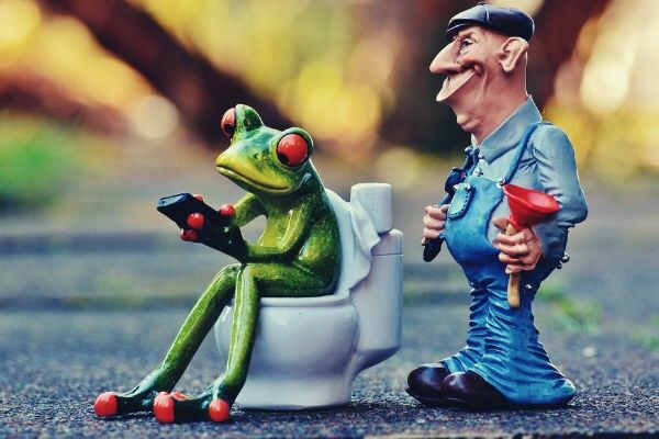 feature-plumber-frog-loo-pîmpel-repair
