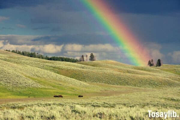 green fields sky rainbow