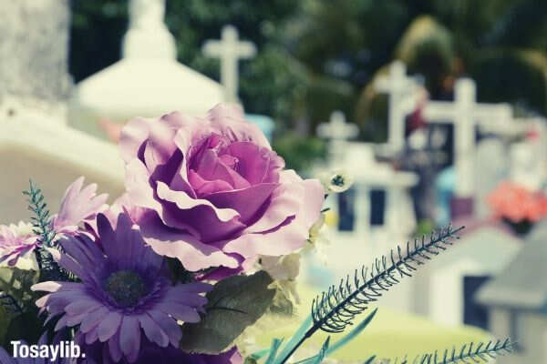 cementerio flor cemetery death purple flowers