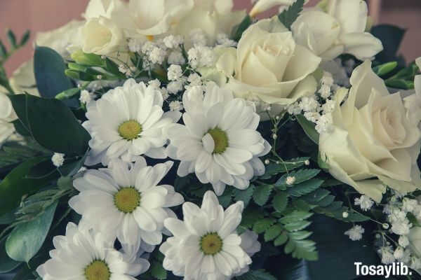 flowers bouquet white roses
