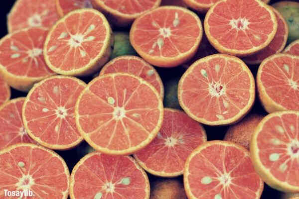 oranges fruit slices oranges