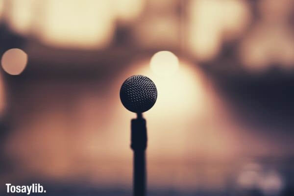 black microphone