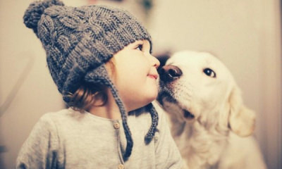 winter-portrait-baby-beanie-white-dog