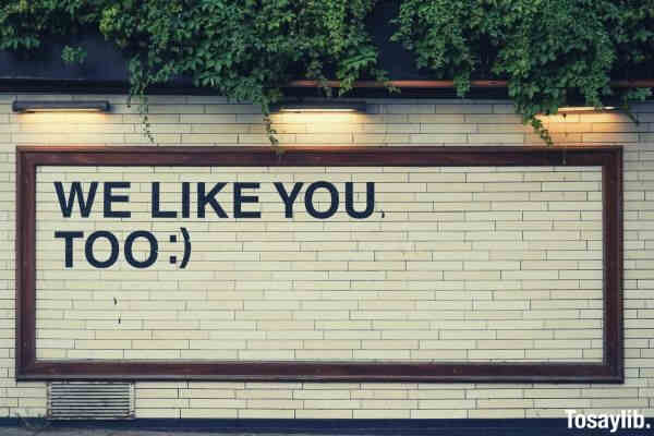 we like you too on wall