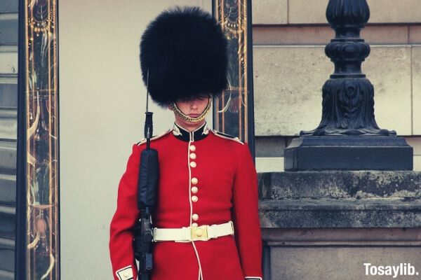 armed buckingham palace duty