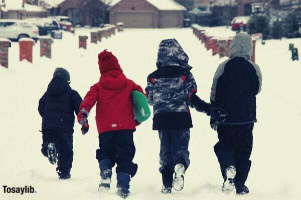winter-winter-snowflake-snow-snow-weather-storm-boys-vacation-ski-play-sled-kids