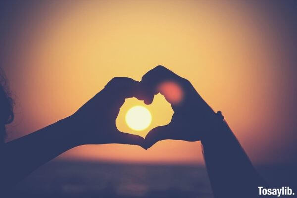 hands heart silhoutte sun set