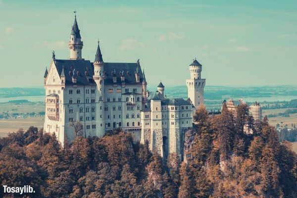 neuschwanstein castle trees sky