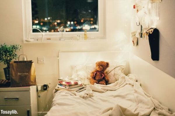 teddy bear stuffed toy books light bed