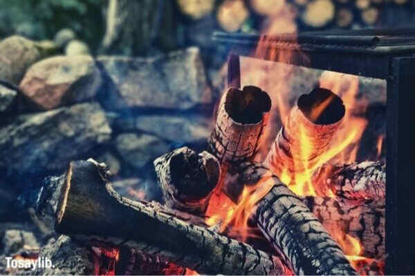 closeup of bright orange campfire flames and burning wood