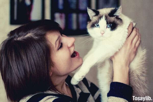 woman playing with cat photo