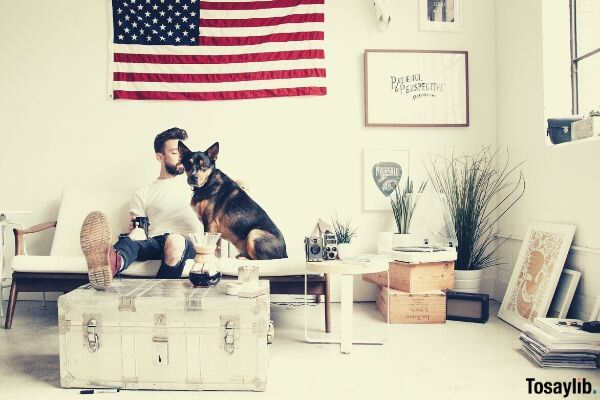 dog white bright interior urban apartment loft hipster minimal