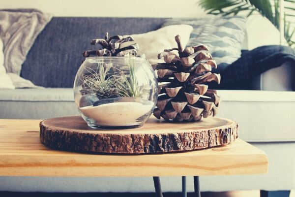 clear-fishbowl-beside-green-pine-cone-on-wooden-table
