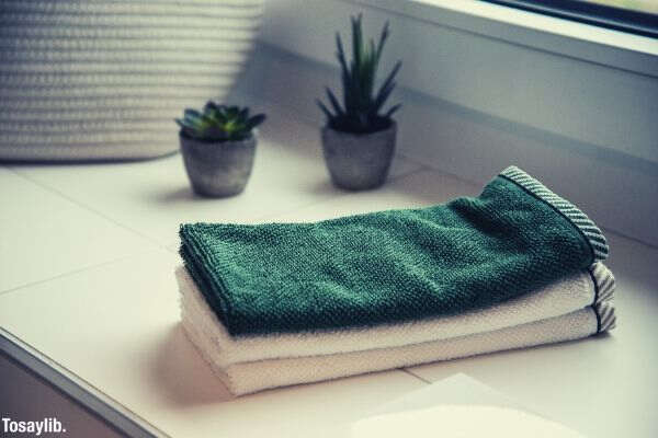 towel bath window