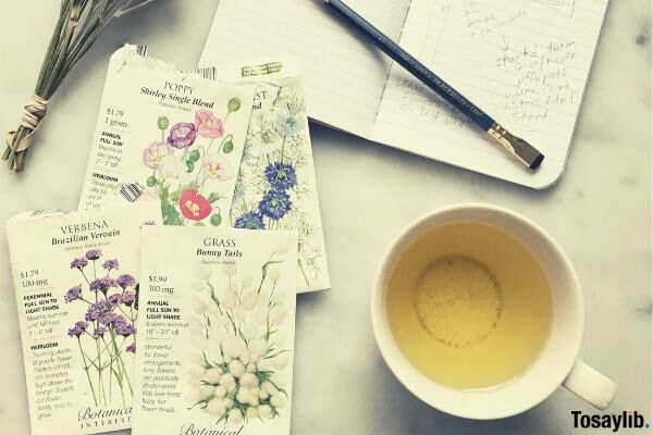 planning a garden in spring with seed packets and tea