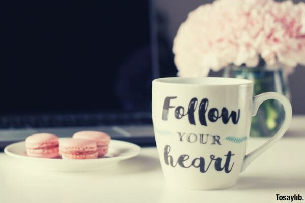 follow your heart mug printed