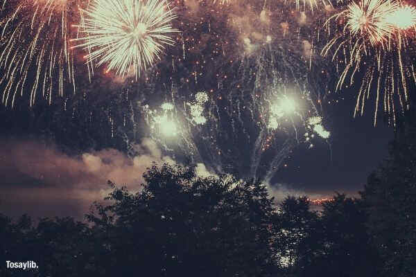 group of people watching fireworks