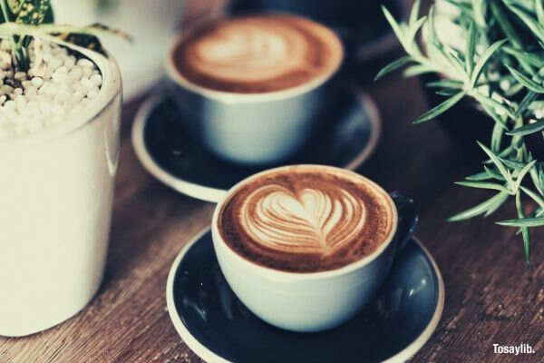 shallow focus coffee mugs plants wooden table