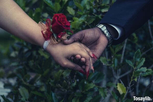 holding hands roses man and woman
