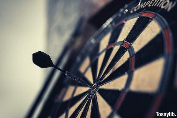 black and brown dart board