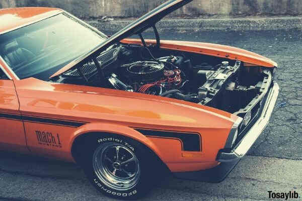 orange mustang mach 1