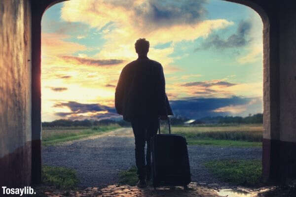 man holding luggage sky back view