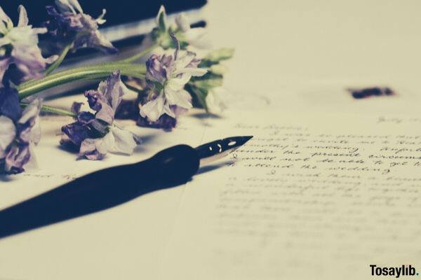 purple flowers on paper