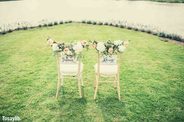 two decorative chairs on grass field near body of water