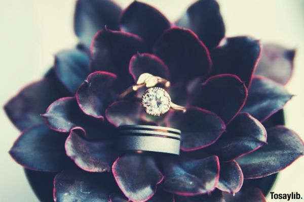 gold colored ring in the middle of flower