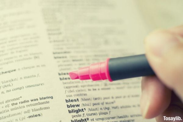 dictionary and a pink highlighter