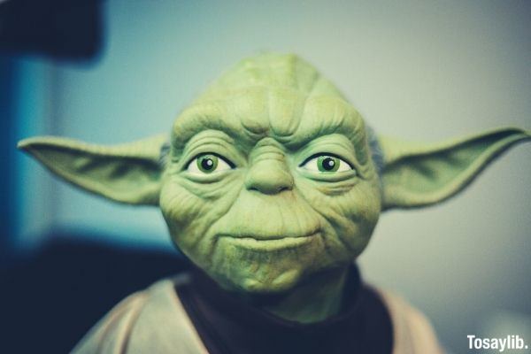 master yoda action figure