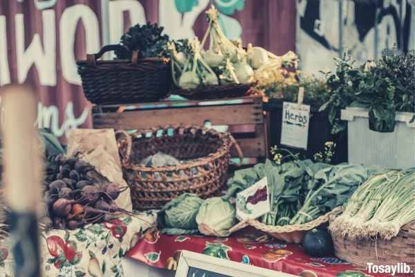 varieties of vegetables