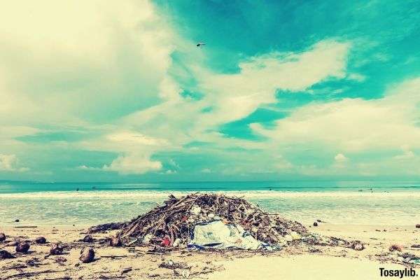 03 garbage beach photo