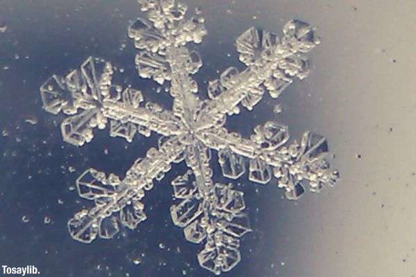 Macro photography of a snow flake
