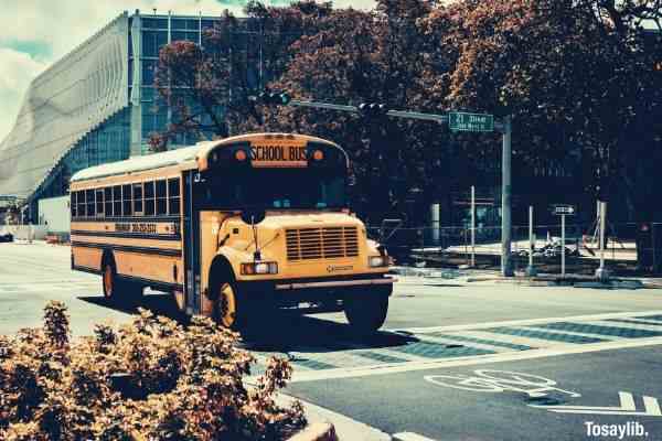 yellow school bus on road building