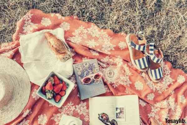 top angle shot strawberries book picnic