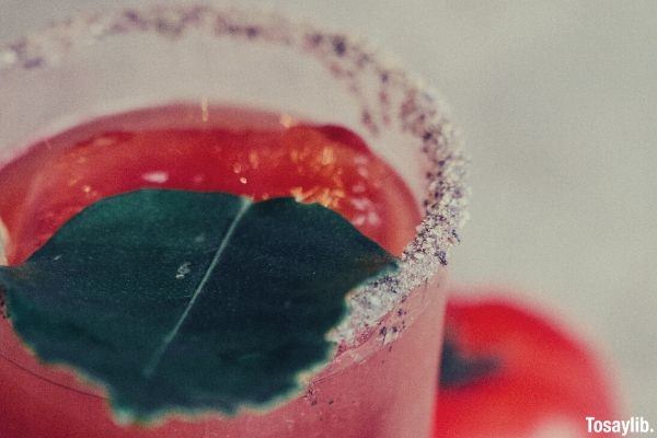 clear drinking glass with red colored liquid with leaf as garnish