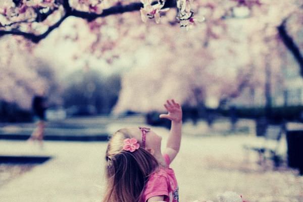 cute little girl on pink shirt and glasses under cherry blossom tree