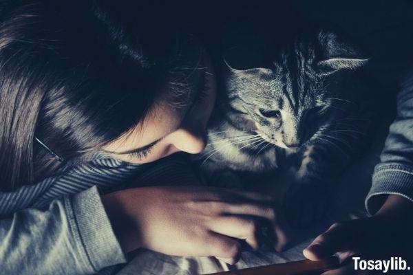 girl uplift mood watching on the smartphone beside a cat having emotional support animal