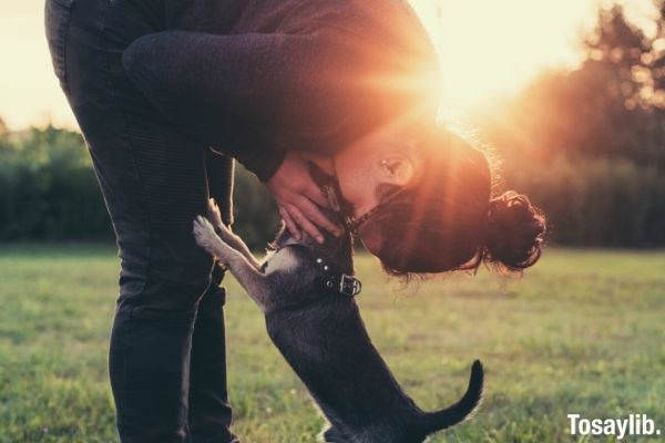 photo of person kissing a dog on grass field sunlight sky