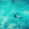 feature-man-free-diving-fish-ocean-instagram-captions